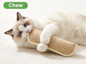 Cat Toy, Catnip Pillow, Self-amusing Chew Toy, Bite-resistant